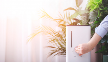 Wie kann man die Luftqualität zu Hause verbessern? Ein umfassender Leitfaden